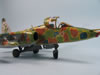 OeZ 1/48 Sukhoi Su 25K Frogfoot by Stefano Marchetto: Image