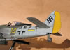 Hasegawa 1/32 Fw 190 F-8 by Tolga Ulgur: Image