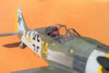 Hasegawa 1/32 Fw 190 F-8 by Tolga Ulgur: Image