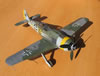 Hasegawa 1/32 Fw 190 F-8 by Tolga Ulgur: Image