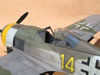 Hasegawa 1/32 Fw 190 F-8 by Tolga Ulgur: Image