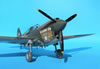 Hasegawa 1/32 P-40E Warhawk by Tolga Ulgur: Image