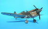 Hasegawa 1/32 P-40E Warhawk by Tolga Ulgur: Image