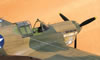 Hasegawa 1/32 P-40E Warhawk by Tolga Ulgur: Image