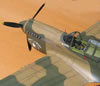 Hasegawa 1/32 P-40E Warhawk by Tolga Ulgur: Image