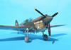 Hasegawa 1/32 P-40E Warhawk by Tolga Ulgur: Image