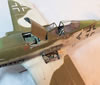 Eduard 1/48 Fw 190 D-13 by Fernando Rolandelli: Image