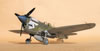 Hasegawa 1/32 P-40N Warhawk by Brett Green: Image