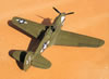 Hasegawa 1/32 P-40N Warhawk by Brett Green: Image