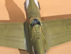 Hasegawa 1/32 P-40N Warhawk by Brett Green: Image