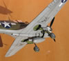 Hasegawa 1/32 P-40N Warhawk by Brett Green: Image