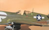 Hasegawa 1/32 P-40N Warhawk by Brett Green: Image