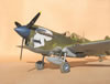 Hasegawa 1/32 P-40N Warhawk by Brett Green: Image