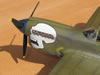 Hasegawa 1/32 P-40N Warhawk by Brett Green: Image