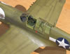 Hasegawa 1/32 P-40N Warhawk by Brett Green: Image