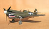 Hasegawa 1/32 P-40N Warhawk by Tolga Ulgur: Image