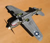 Hasegawa 1/32 P-40N Warhawk by Tolga Ulgur: Image