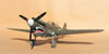 Hasegawa 1/32 P-40N Warhawk by Tolga Ulgur: Image