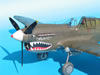 Hasegawa 1/32 P-40N Warhawk by Tolga Ulgur: Image