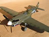 Hasegawa 1/32 P-40N Warhawk by Tolga Ulgur: Image