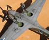 Hasegawa 1/32 P-40N Warhawk by Tolga Ulgur: Image