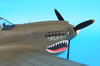 Hasegawa 1/32 P-40N Warhawk by Tolga Ulgur: Image