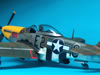 Eduard 1/48 P-51D-5 Mustang by Dario Giuliano: Image