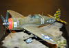 Monogram 1/48 P-47D Thunderbolt by Valter Vaudagna: Image