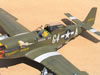 Tamiya 1/32 P-51D Mustang by Tolga Ulgur: Image