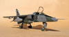 Kitty Hawk 1:48 SEPECAT Jaguar GR.1 by Tolga Ulgur: Image