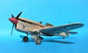 Trumpeter 1/32 P-40F Warhawk by Tolga Ulgur: Image