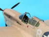 Trumpeter 1/32 P-40F Warhawk by Tolga Ulgur: Image