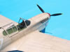 Trumpeter 1/32 P-40F Warhawk by Tolga Ulgur: Image