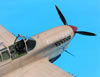 Trumpeter 1/32 P-40F Warhawk by Tolga Ulgur: Image