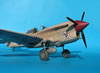 Trumpeter 1/32 P-40F Warhawk by Tolga Ulgur: Image