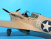 Trumpeter 1/32 P-40F Warhawk by Tolga Ulgur: Image