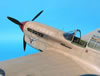 Trumpeter 1/32 P-40F Warhawk by Tolga Ulgur: Image