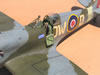 Pacific Coast Models 1/32 Spitfire Mk.XIV by Tolga Ulgur: Image