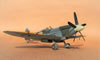 Pacific Coast Models 1/32 Spitfire Mk.XIV by Tolga Ulgur: Image