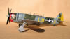 Hasegawa's 1/32 P-47M Thunderbolt by Tolga Ulgur: Image