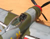 Hasegawa's 1/32 P-47M Thunderbolt by Tolga Ulgur: Image