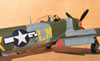 Hasegawa's 1/32 P-47M Thunderbolt by Tolga Ulgur: Image