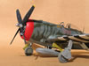 Hasegawa 1/32 P-47D Gabreski by Tolga Ulgur: Image