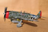 Hasegawa 1/32 P-47D Gabreski by Tolga Ulgur: Image