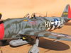 Hasegawa 1/32 P-47D Gabreski by Tolga Ulgur: Image