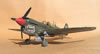 Hasegawa 1/32 P-40N-5 Warhawk by Tolga Ulgur: Image