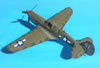 Hasegawa 1/32 P-40N-5 Warhawk by Tolga Ulgur: Image