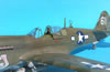 Hasegawa 1/32 P-40N-5 Warhawk by Tolga Ulgur: Image