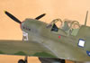 Hasegawa 1/32 P-40N-5 Warhawk by Tolga Ulgur: Image