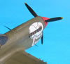 Hasegawa 1/32 P-40N-5 Warhawk by Tolga Ulgur: Image